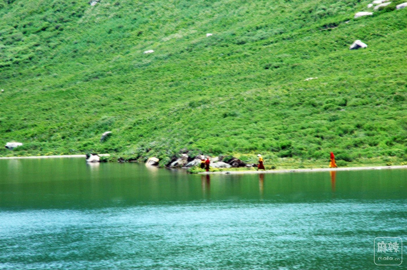 DSC_0925.jpg