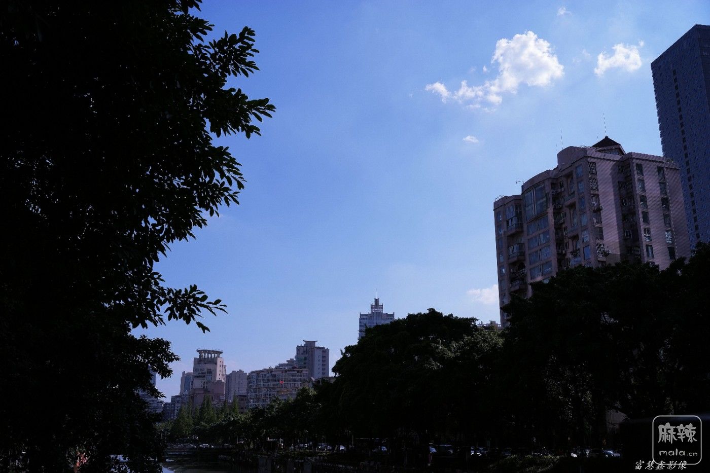 DSC00164_����.jpg