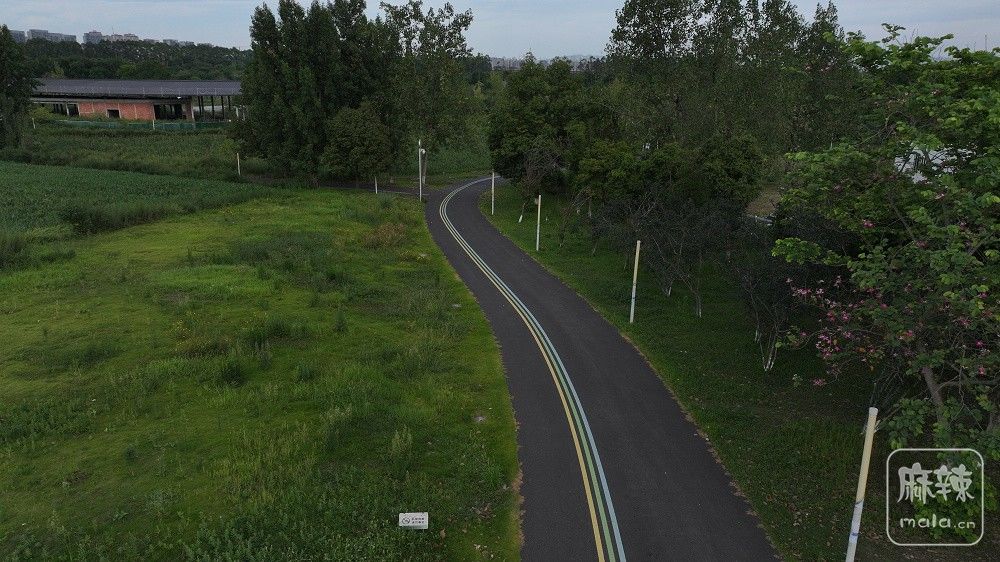 DJI_20260717175819_0088_D.jpg