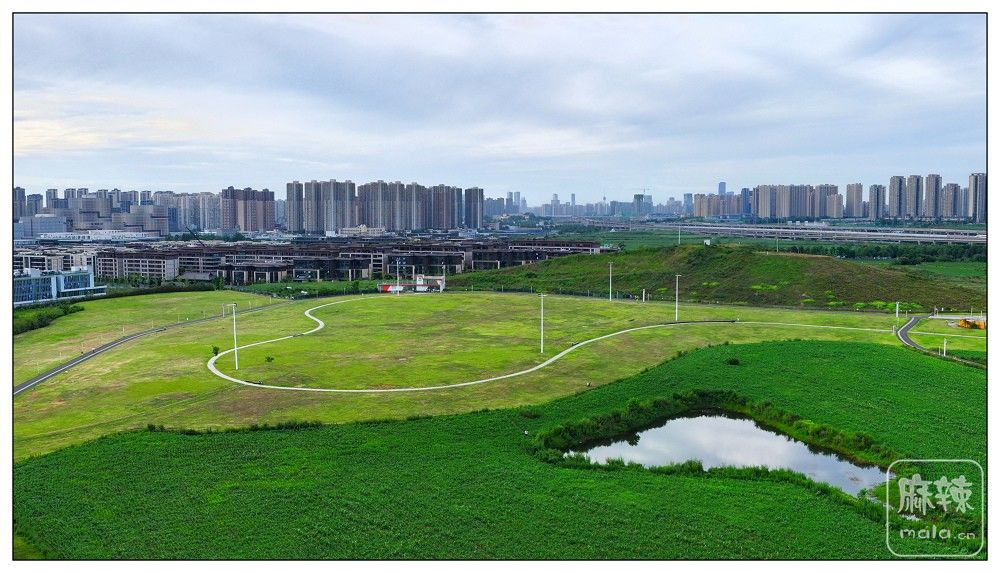 dji_export_20260719_173658_1784453818655_sphere_screenshot.jpg