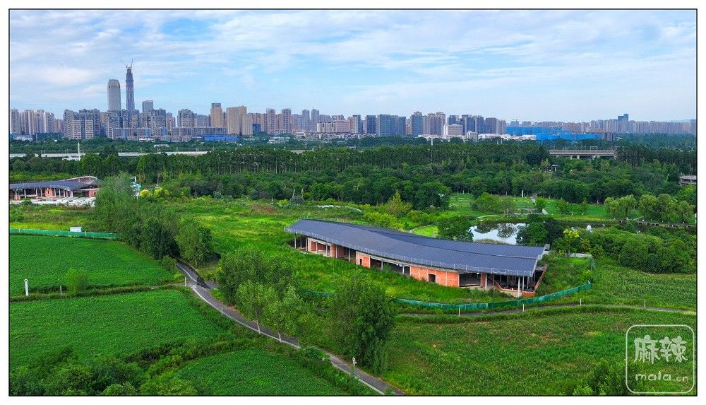 dji_export_20260719_173732_1784453852352_sphere_screenshot.jpg
