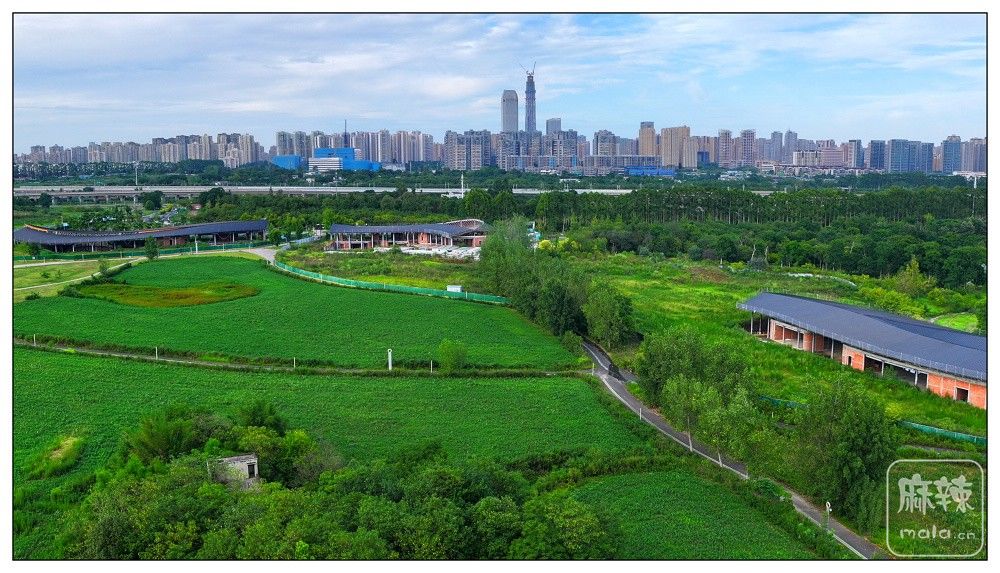 dji_export_20260719_173724_1784453844320_sphere_screenshot.jpg