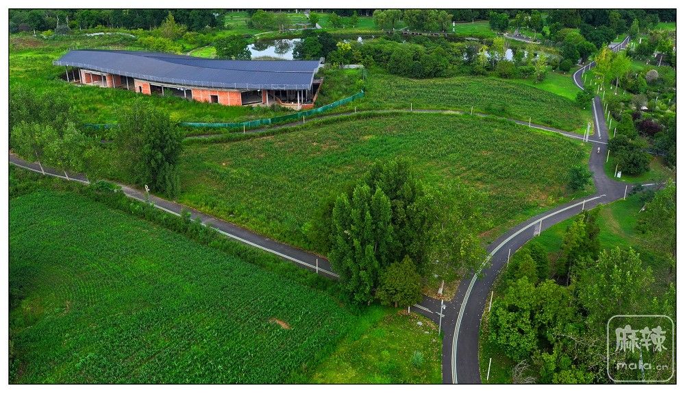 dji_export_20260719_173739_1784453859967_sphere_screenshot.jpg
