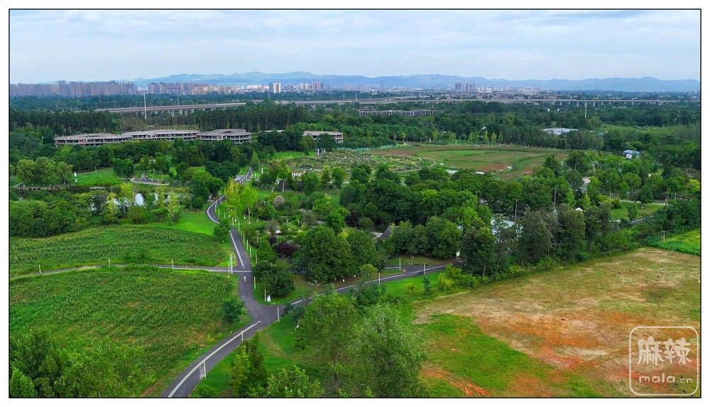 dji_export_20260719_173751_1784453871970_sphere_screenshot.jpg