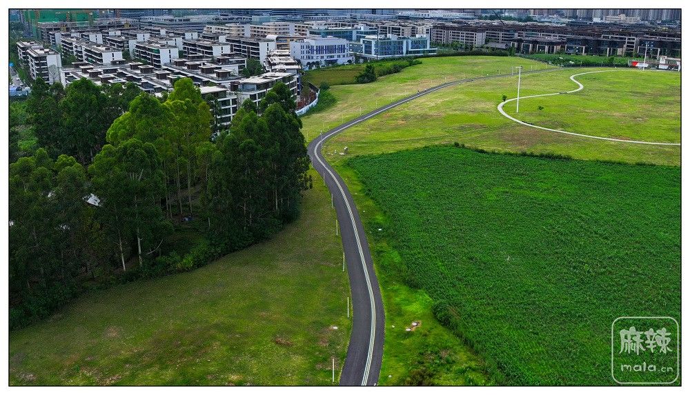 dji_export_20260719_173903_1784453943370_sphere_screenshot.jpg