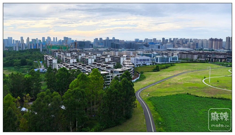 dji_export_20260719_173838_1784453918076_sphere_screenshot.jpg