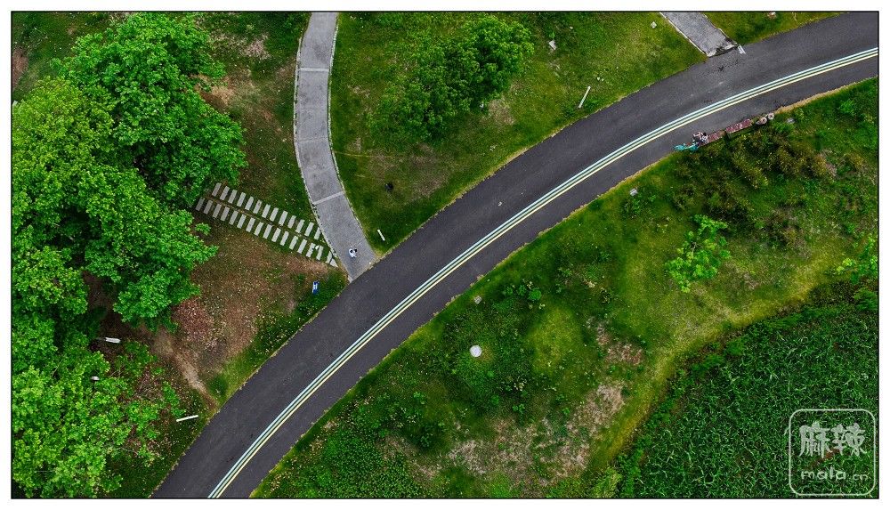 dji_export_20260719_173937_1784453977259_sphere_screenshot.jpg