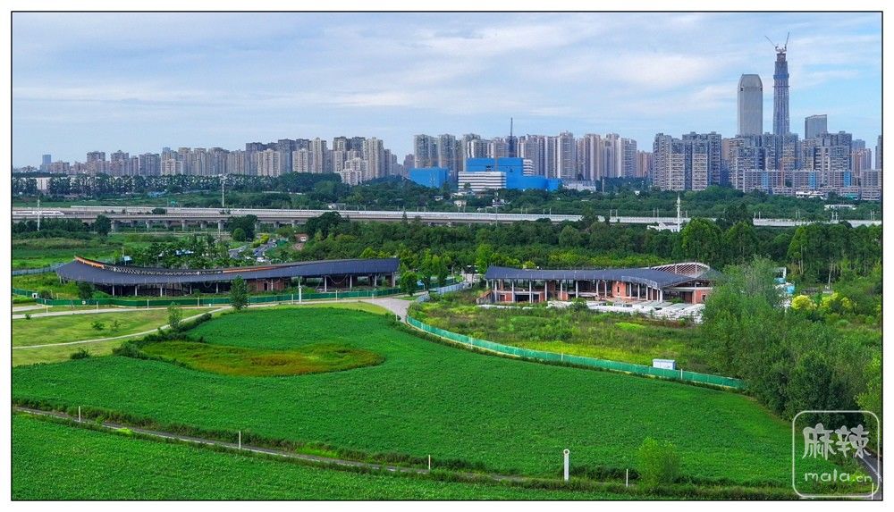 dji_export_20260719_174127_1784454087288_sphere_screenshot.jpg