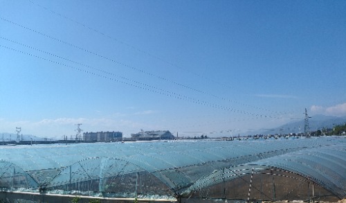 IMG_20260813_051627.jpg