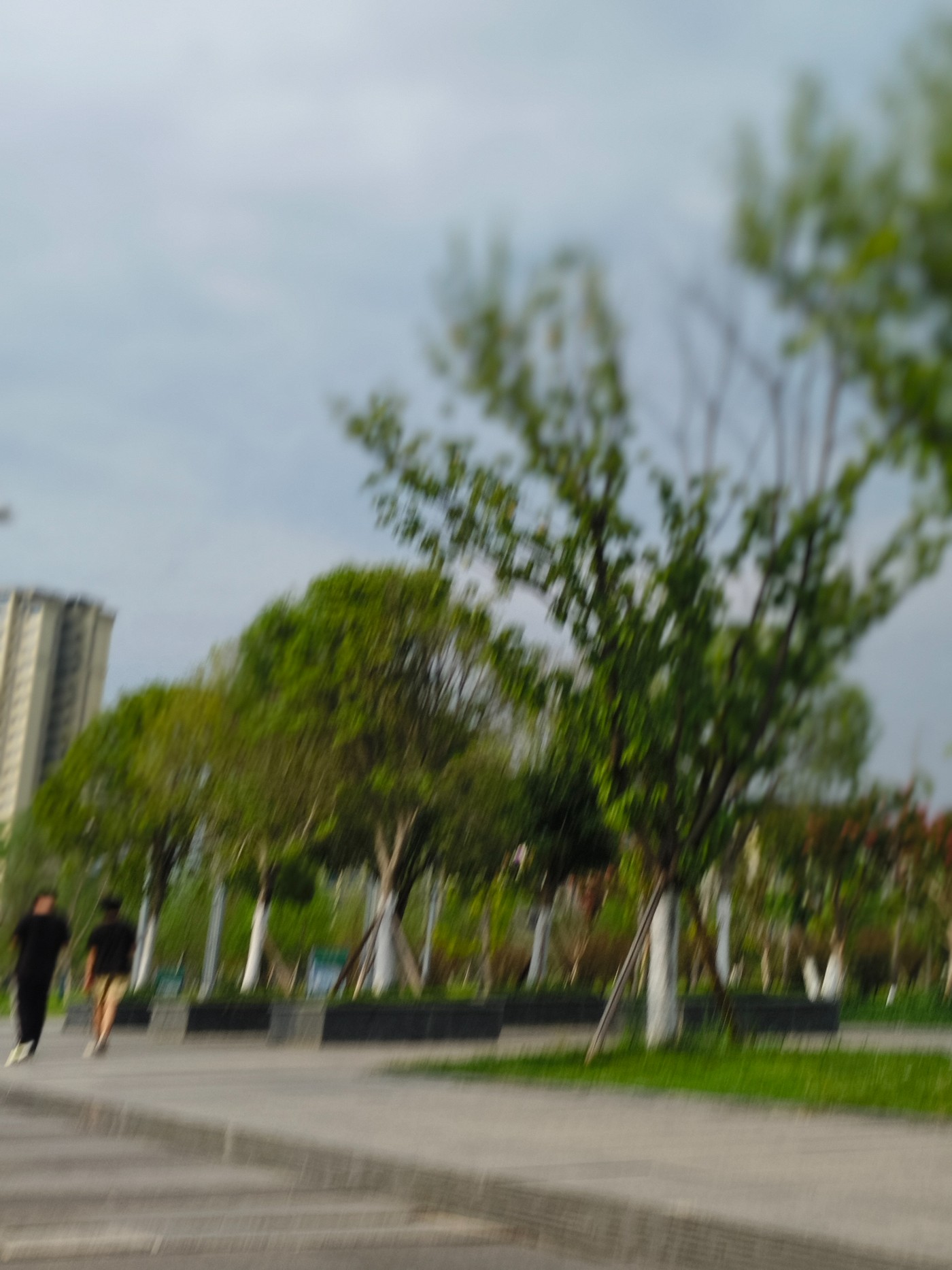IMG_20260817_170256.jpg