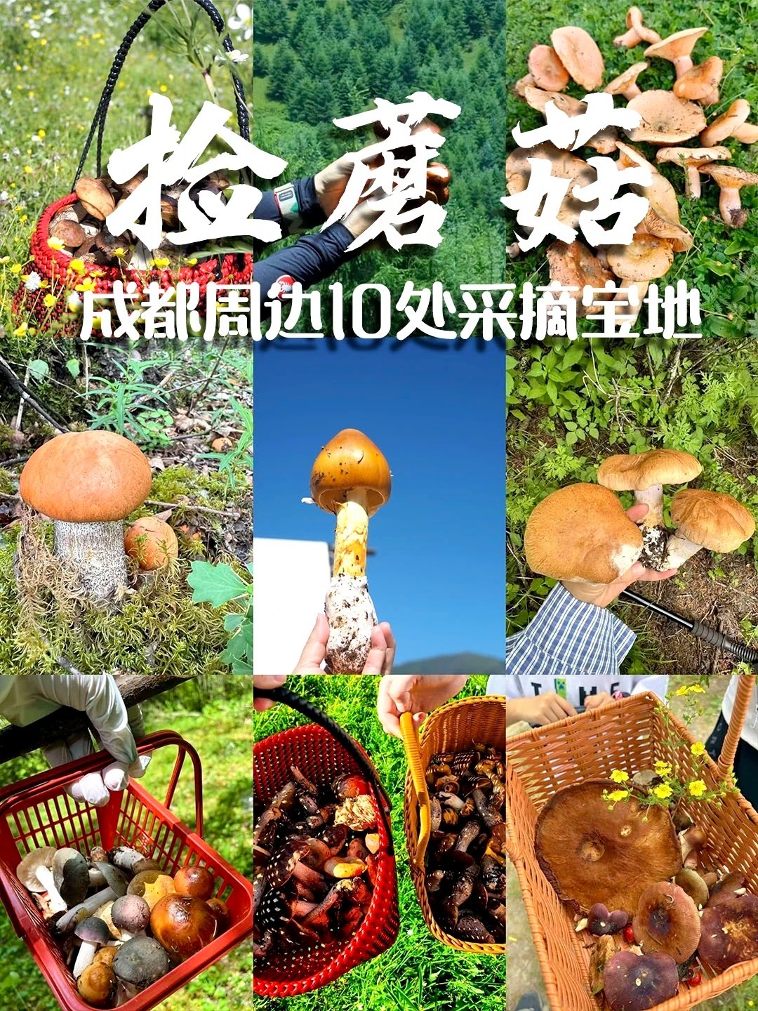 �ɶ��ܱߣ�10����Ģ�����غϼ���_1_����Ļ�_����С������ҳ��.jpg