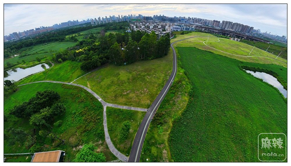 dji_export_20260719_174425_1784454265788_sphere_screenshot.jpg