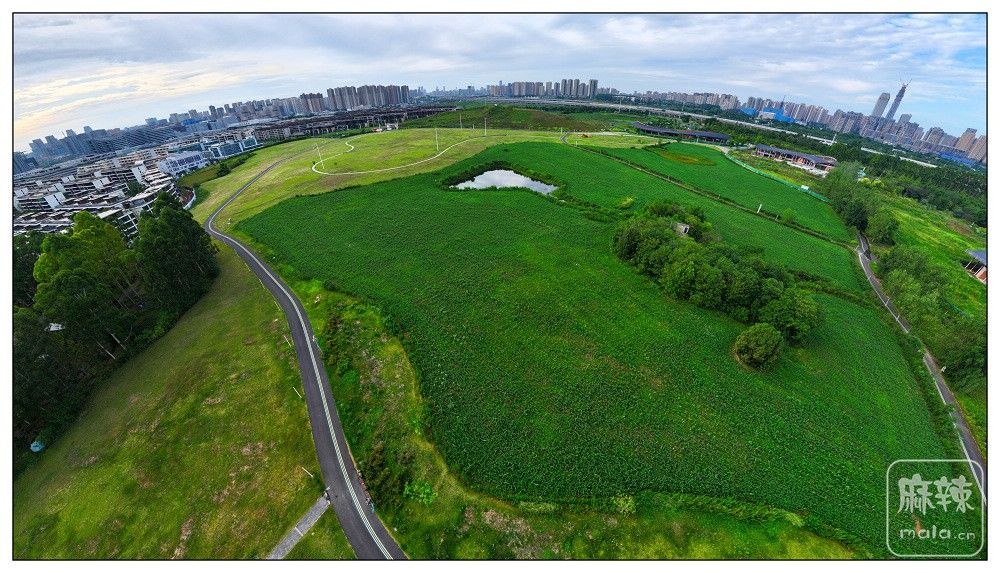 dji_export_20260719_174441_1784454281925_sphere_screenshot.jpg