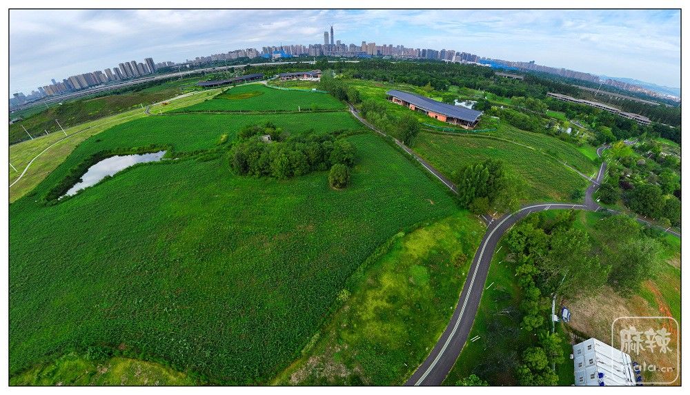 dji_export_20260719_174455_1784454295575_sphere_screenshot.jpg