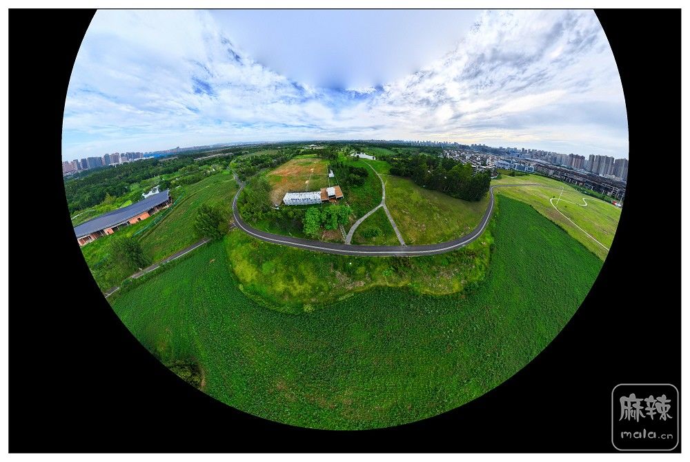 dji_export_20260719_174746_1784454466157_sphere_screenshot.jpg