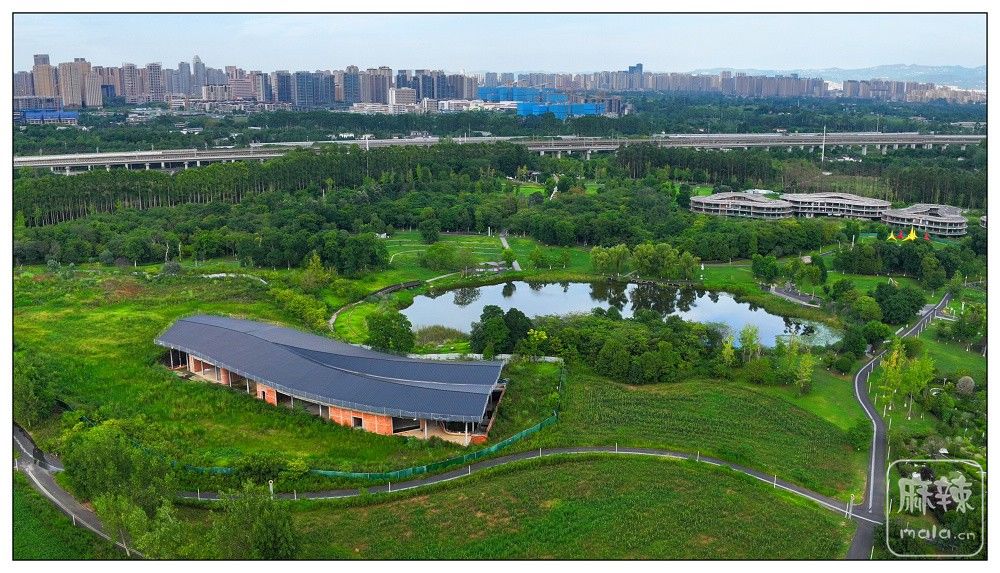 dji_export_20260719_175030_1784454630769_sphere_screenshot.jpg