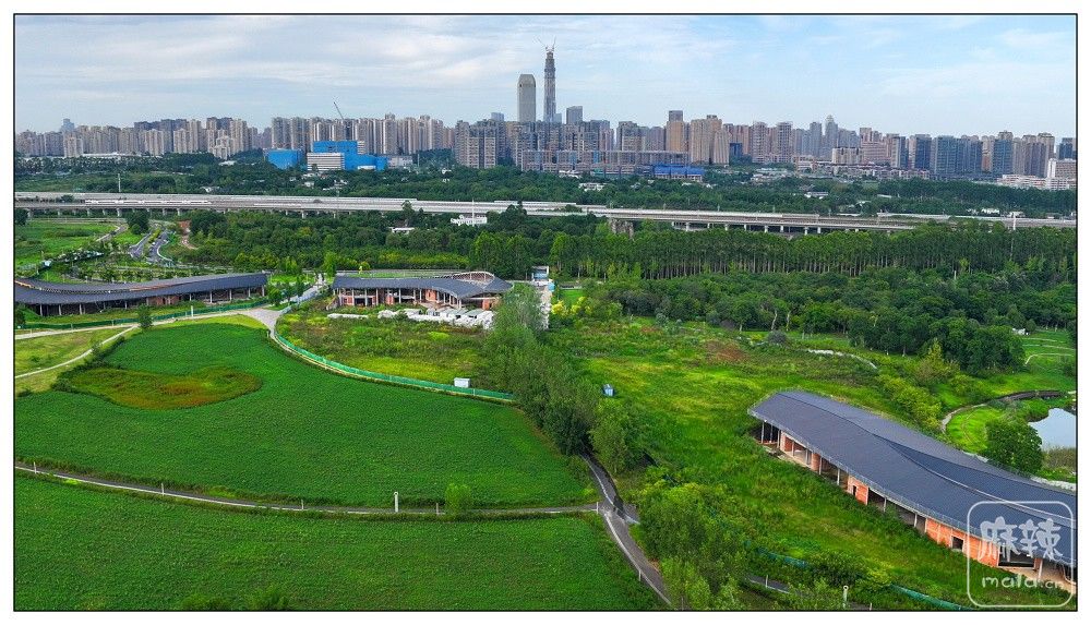 dji_export_20260719_175017_1784454617427_sphere_screenshot.jpg