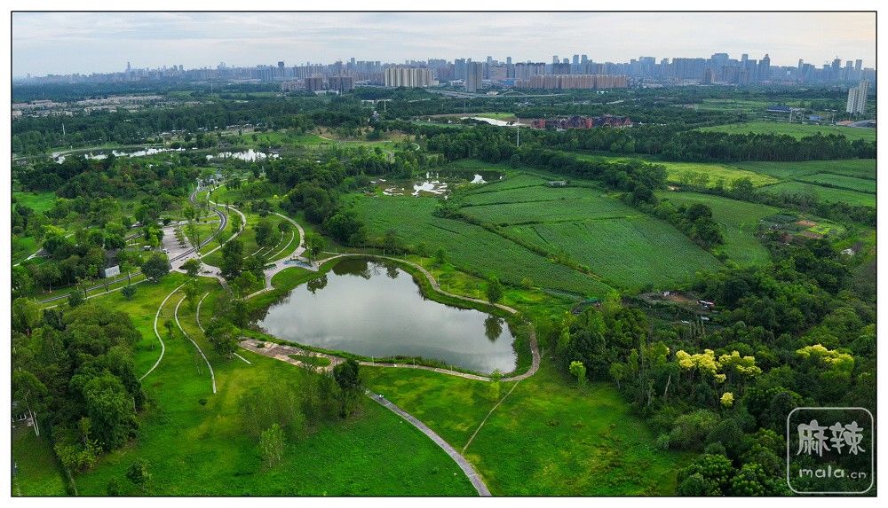 dji_export_20260719_175142_1784454702336_sphere_screenshot.jpg