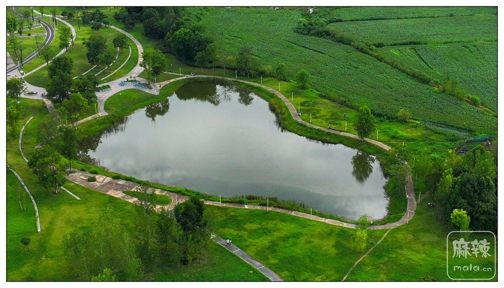 dji_export_20260719_175152_1784454712254_sphere_screenshot.jpg