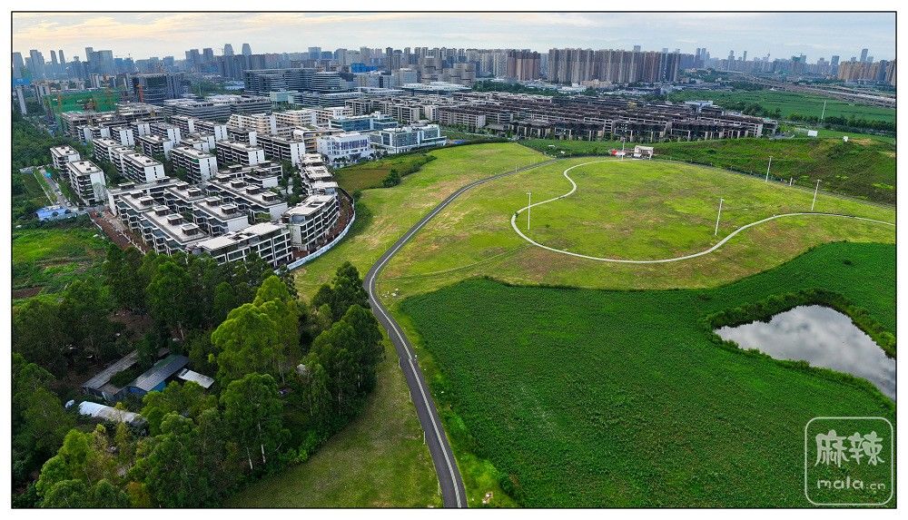 dji_export_20260719_175208_1784454728866_sphere_screenshot.jpg