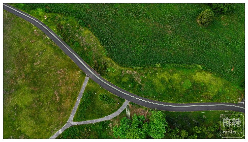 dji_export_20260719_175241_1784454761008_sphere_screenshot.jpg