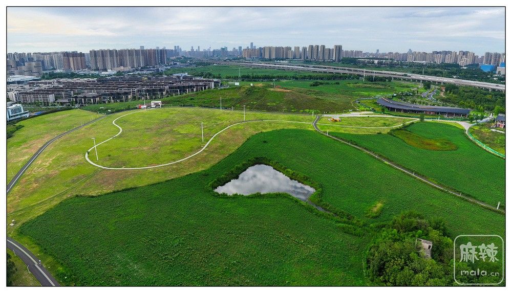 dji_export_20260719_175218_1784454738502_sphere_screenshot.jpg