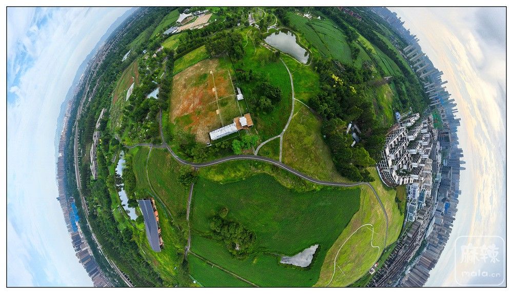dji_export_20260719_175351_1784454831789_sphere_screenshot.jpg