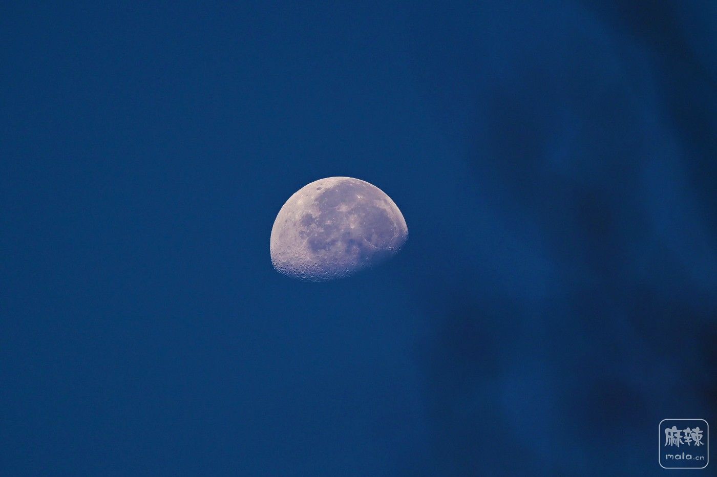 DSC_3504.JPG