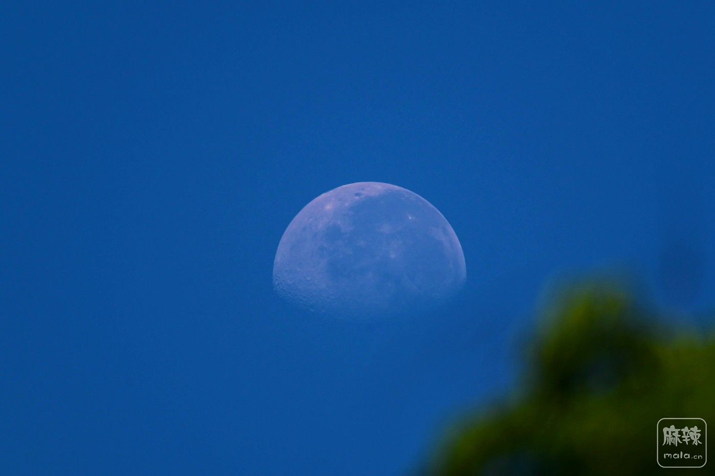 DSC_3543.JPG