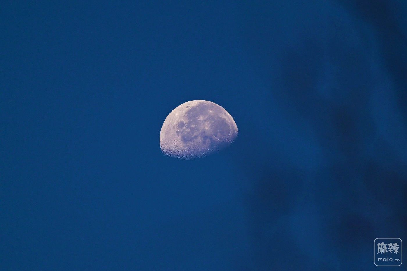 DSC_3505.JPG