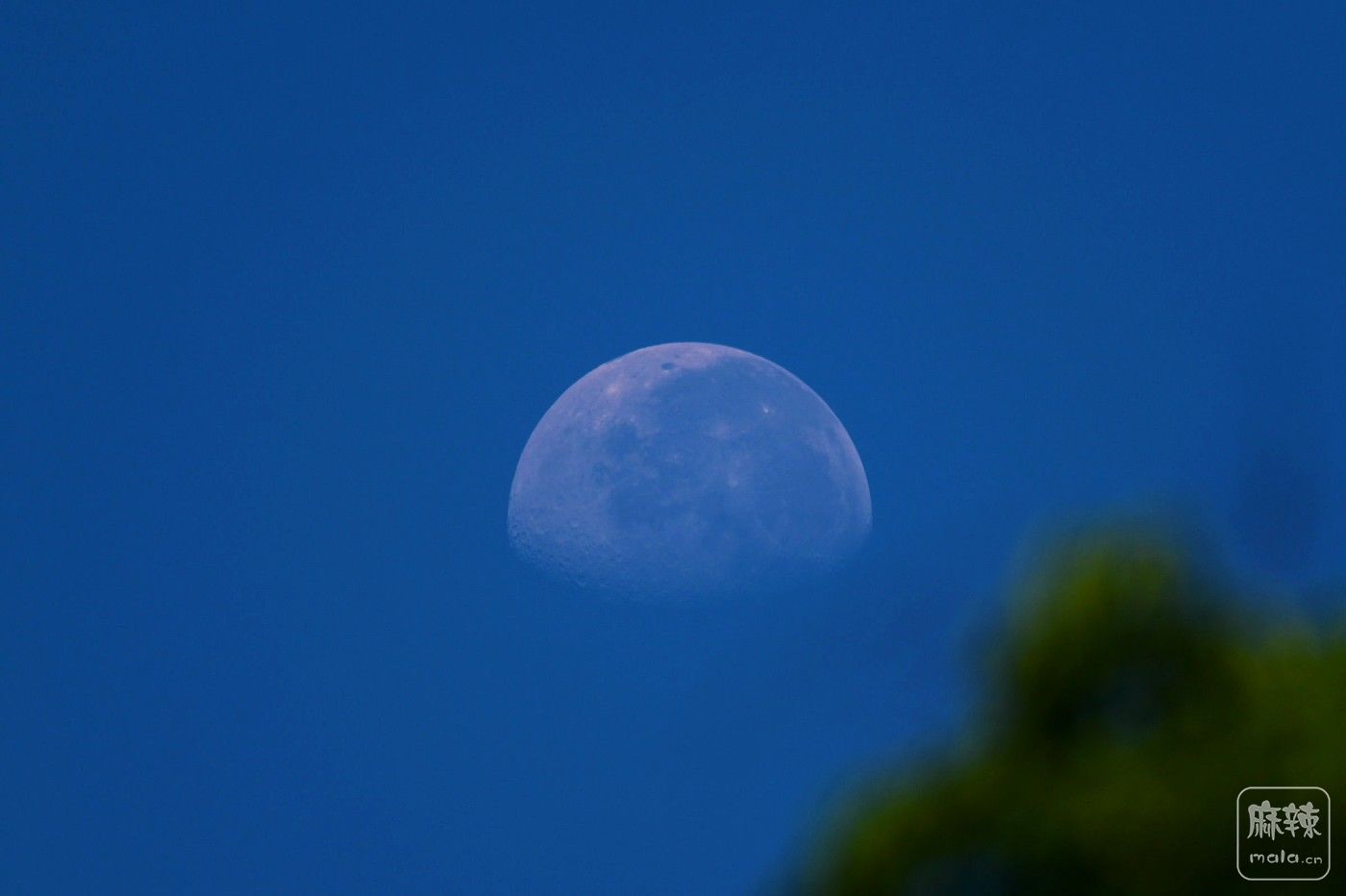 DSC_3544.JPG