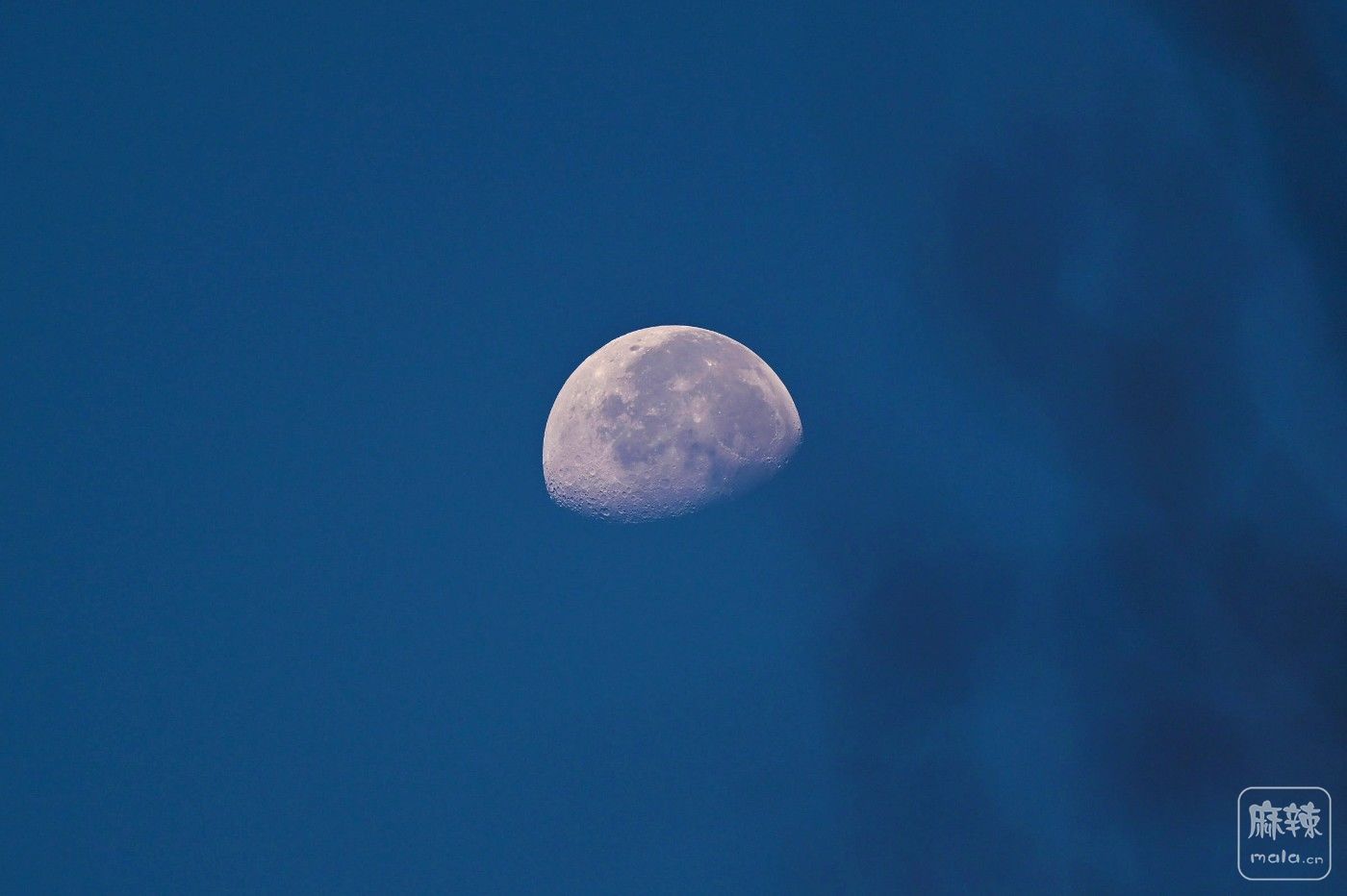 DSC_3506.JPG