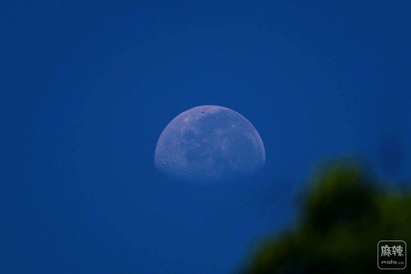 DSC_3545.JPG