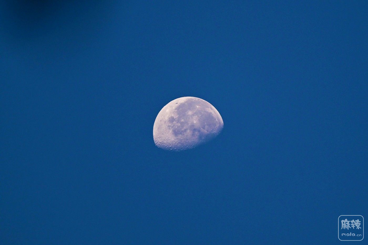 DSC_3507.JPG