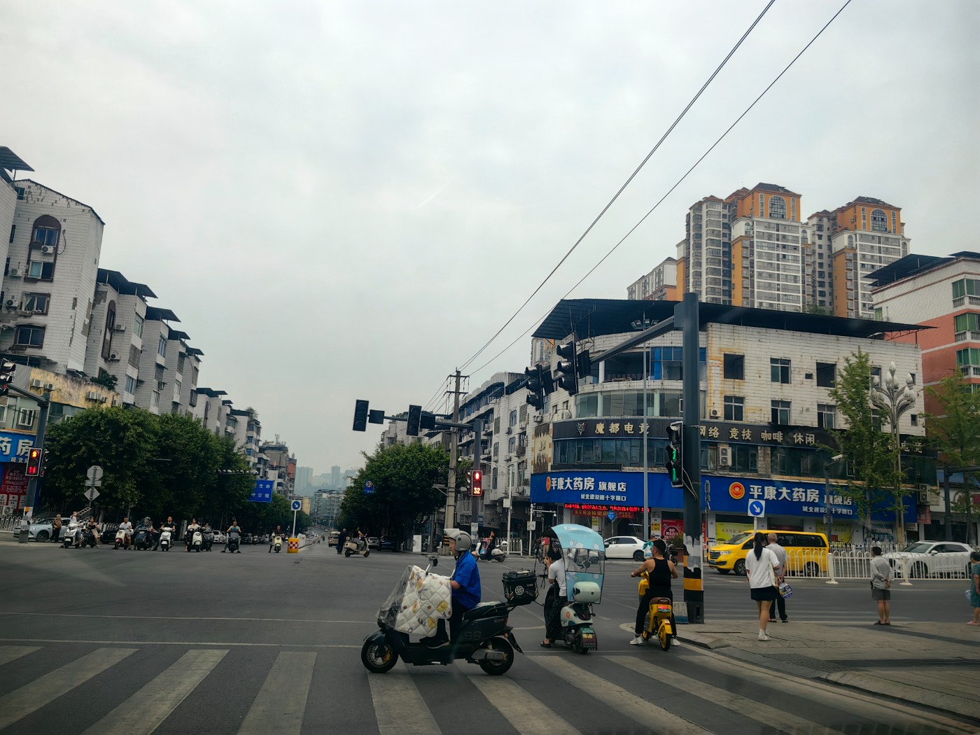 IMG_20260820_072248.jpg
