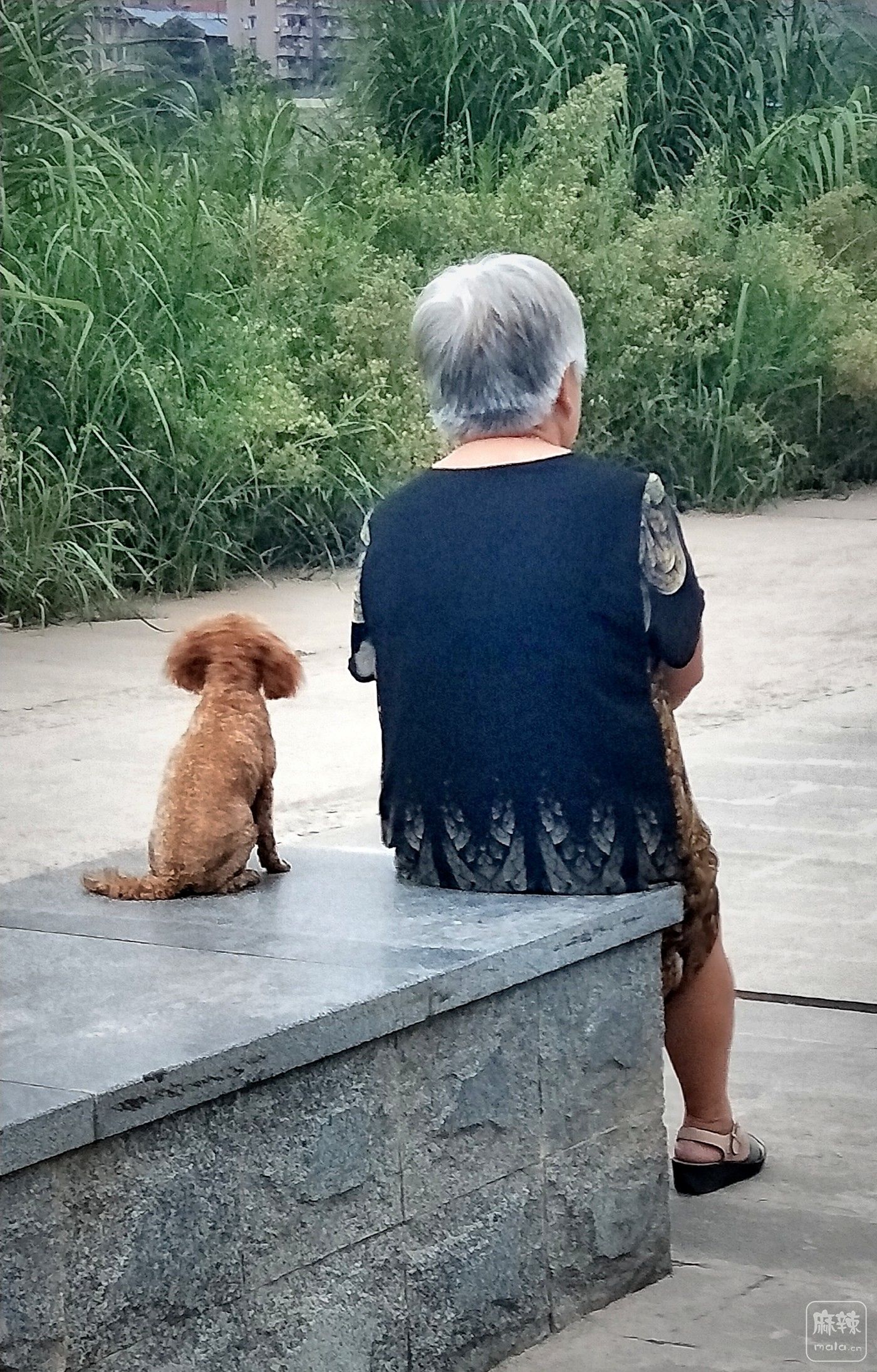 ����  ���»�������һȮ��飬�����˼��̻�.jpg