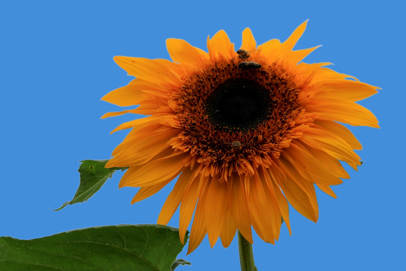 0F5A8543.JPG