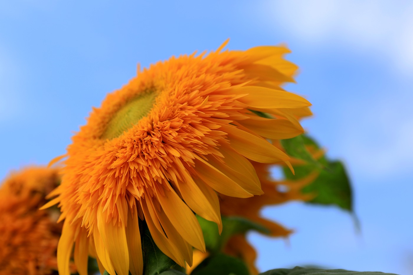 0F5A8948.JPG