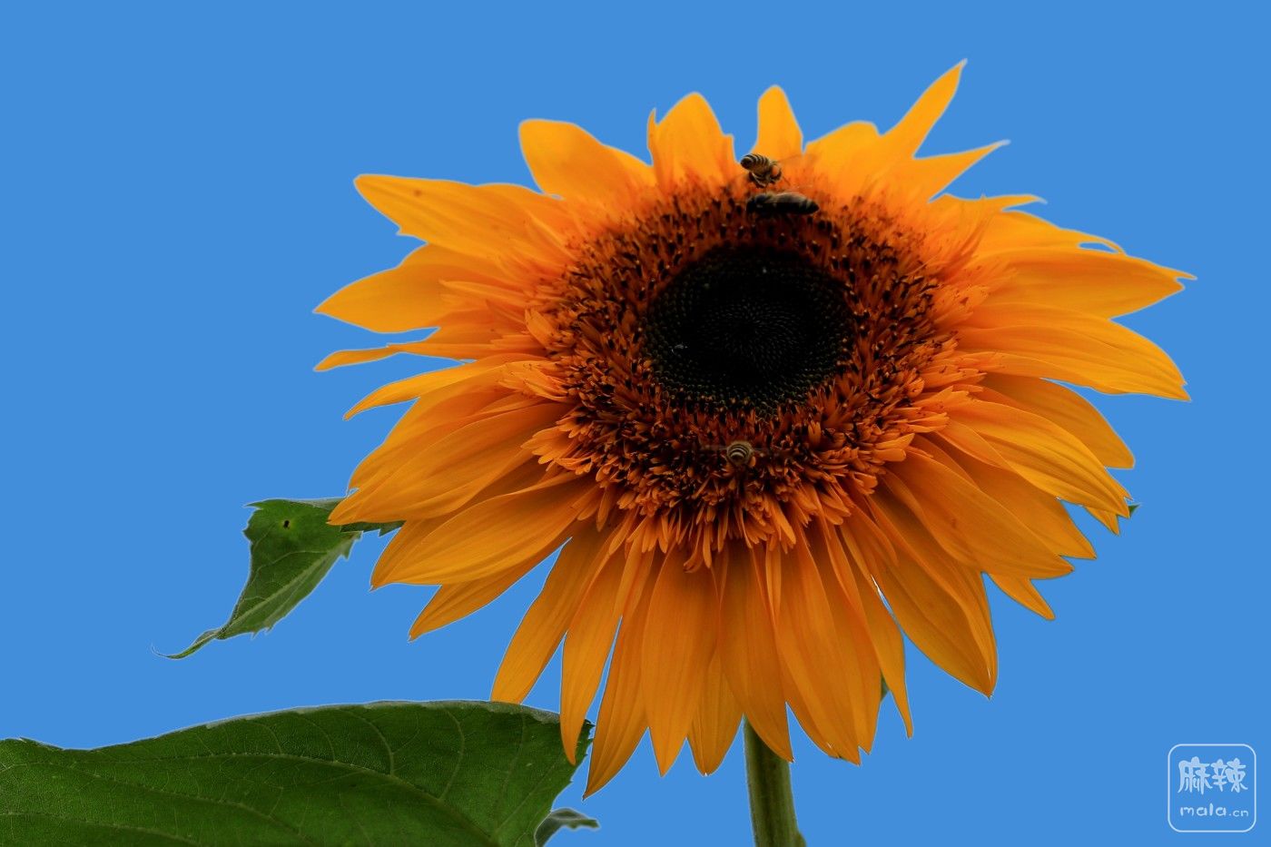0F5A8543.JPG
