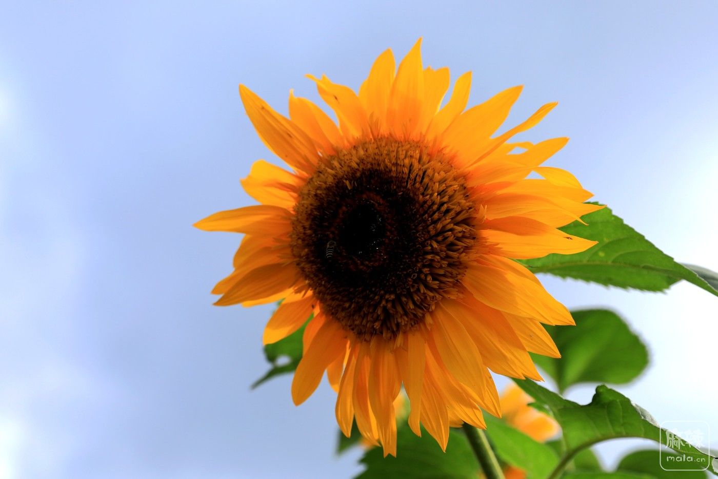 0F5A8949.JPG