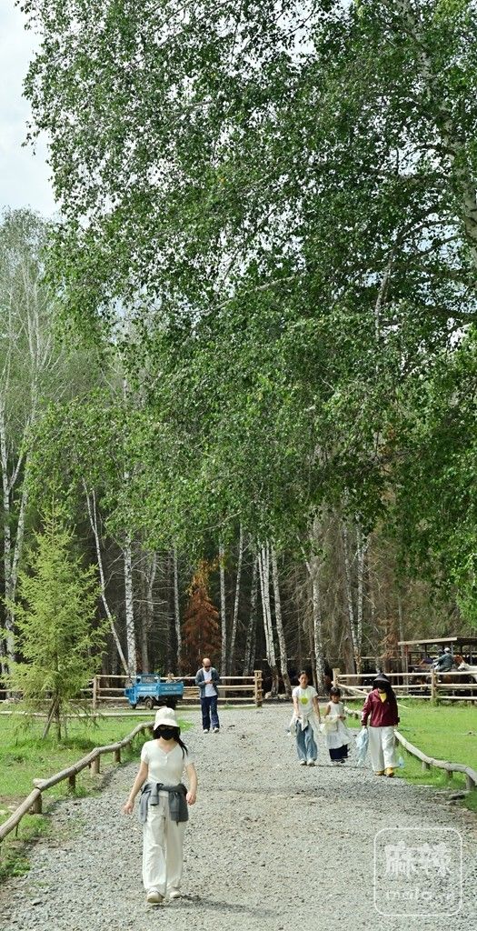 ��èר�С������ݺ�180.jpg