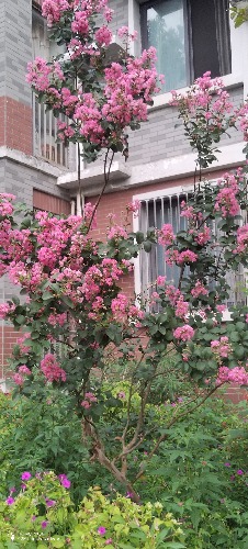IMG_20260820_184234.jpg