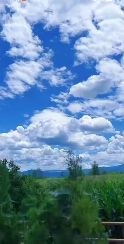 ScreenShot_2026-08-21_155704_742.png