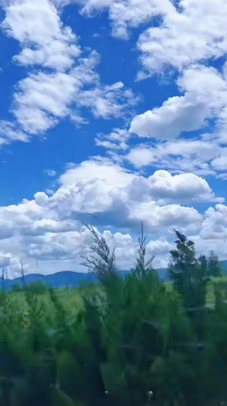 ScreenShot_2026-08-21_155723_278.png