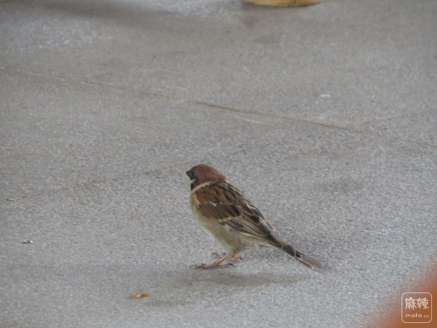 IMG_0024.JPG