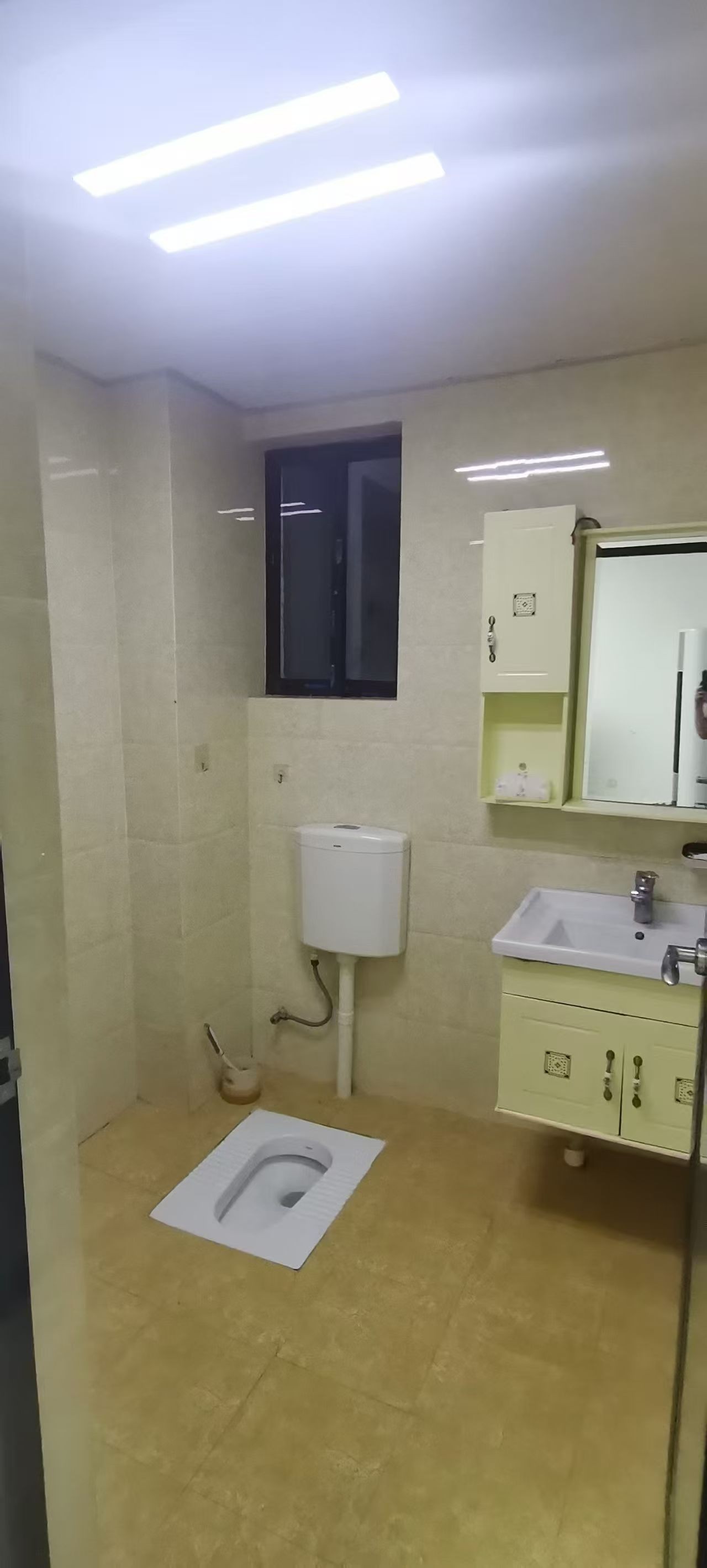 095529bogt6tzr7tqnq0rt.jpg