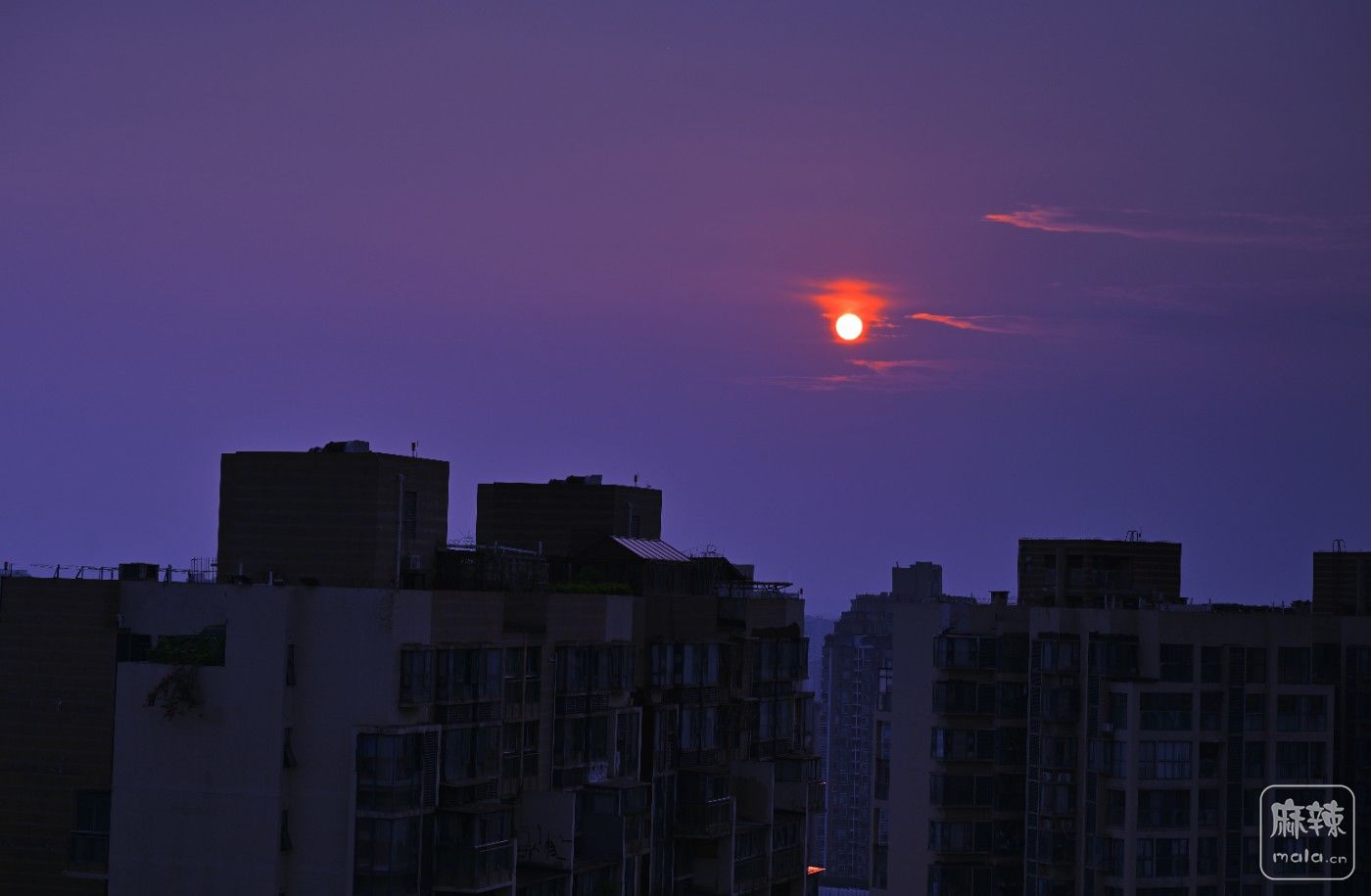 DSC_6538_����.jpg