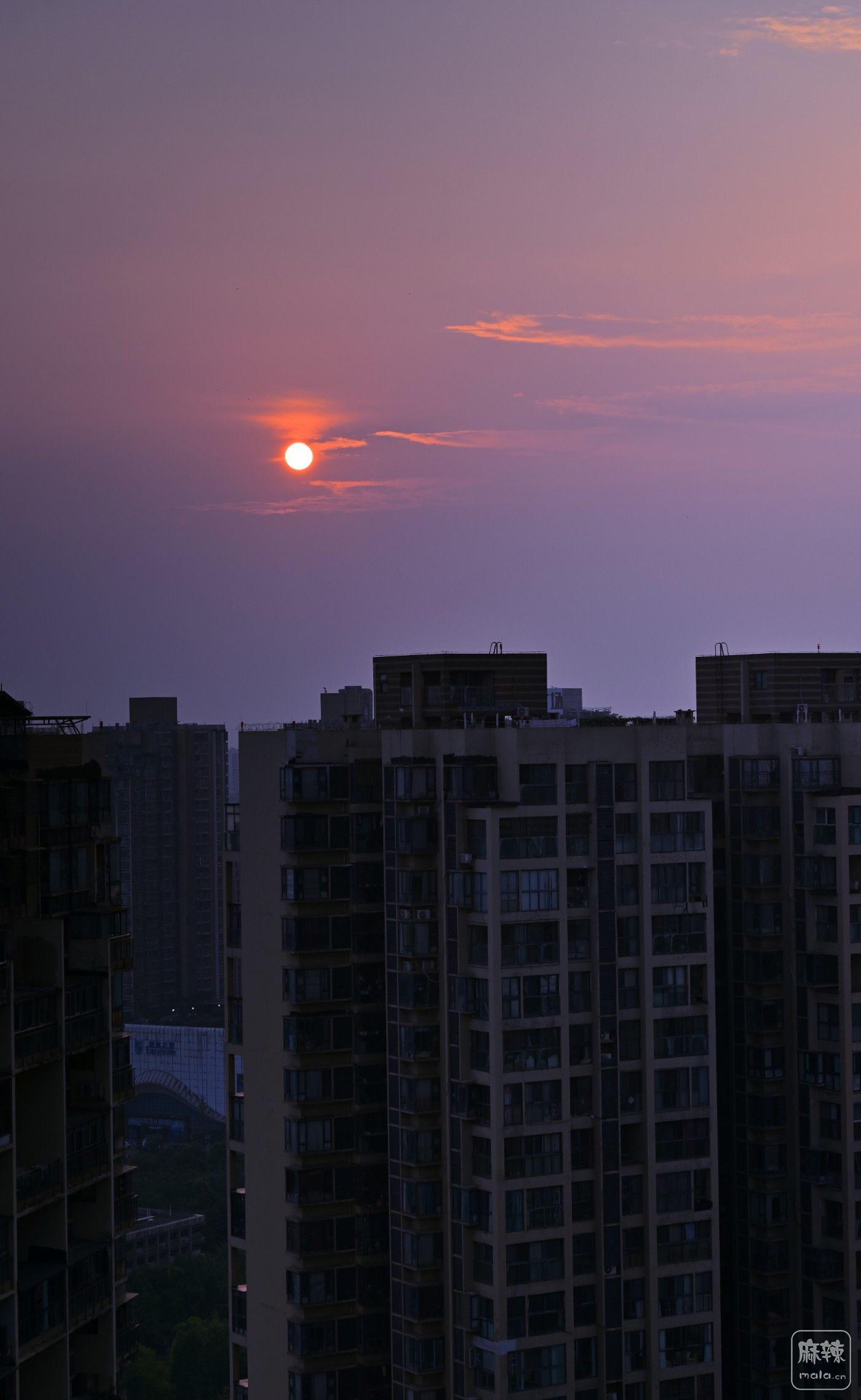 DSC_6539_����.jpg