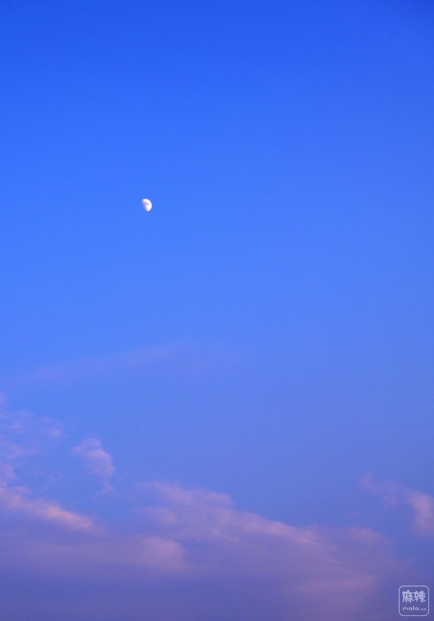 DSC_6545_����.jpg