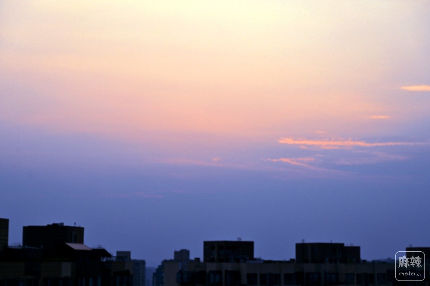 DSC_6555_����.jpg